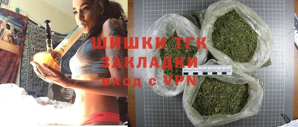 спиды Новозыбков