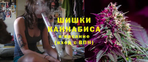 соль курить ск Новодвинск