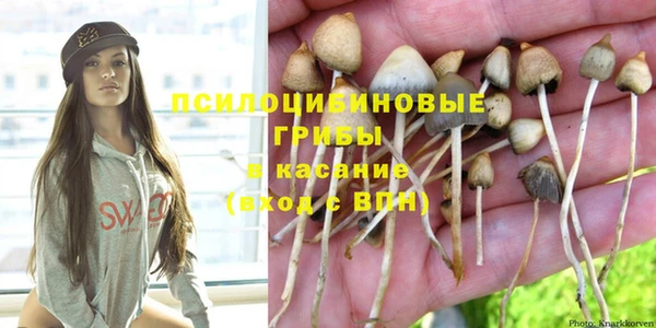 таблы Нефтекумск