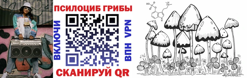 OMG   Иваново  Галлюциногенные грибы ЛСД  даркнет сайт 