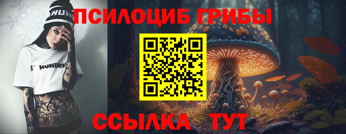 Галлюциногенные грибы прущие грибы  Галлюциногенные грибы Psilocybine cubensis  Иваново  Вход с VPN 