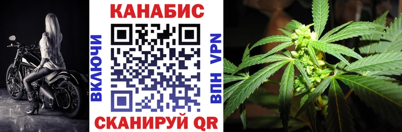 где найти   Иваново  Марихуана SATIVA & INDICA 